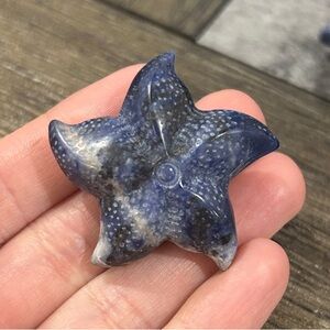 Sodalite Starfish Crystal